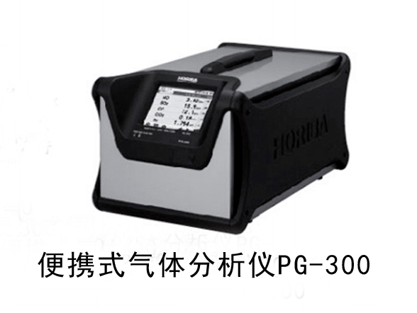 PG-300系列便携式气体分析仪